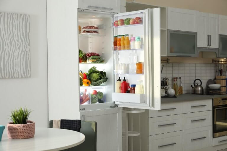 Cómo ahorrar con el modo ECO del frigorífico