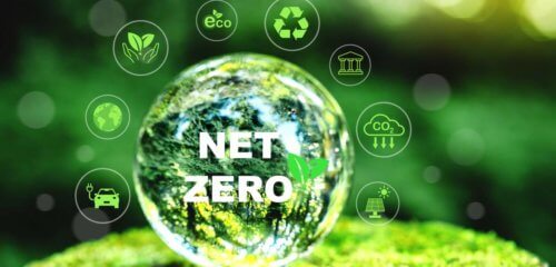 Net Zero: Passos para levar a sua empresa a alcançar o carbono zero
