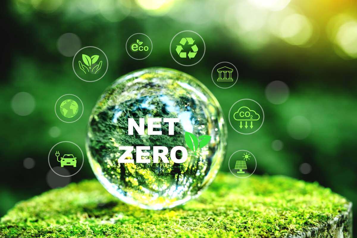 Net Zero: Cómo las empresas están logrando la sostenibilidad