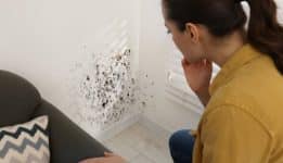 ¿Cómo bajar la humedad en casa?