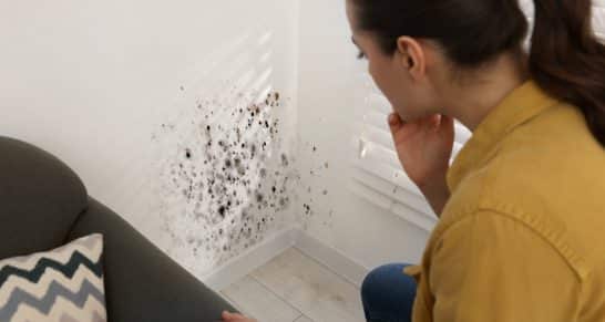 ¿Cómo bajar la humedad en casa?